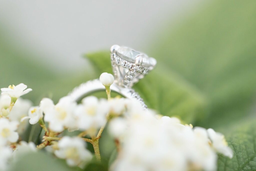 close up photo of engagement ring taken at engagement photos